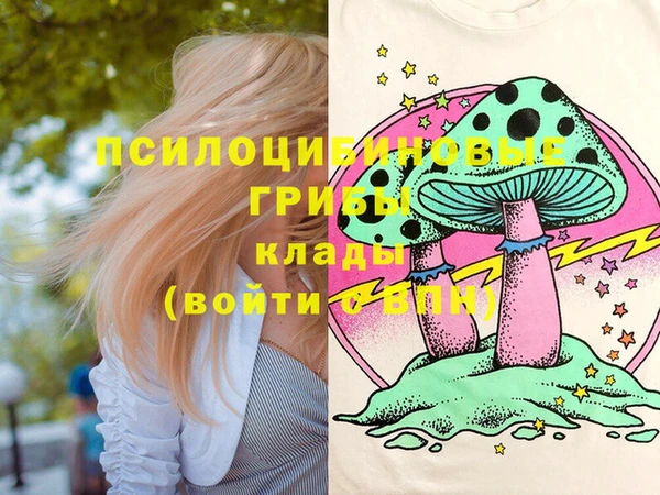 ПСИЛОЦИБИНОВЫЕ ГРИБЫ Абаза