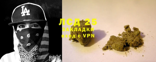 ПСИЛОЦИБИНОВЫЕ ГРИБЫ Абаза