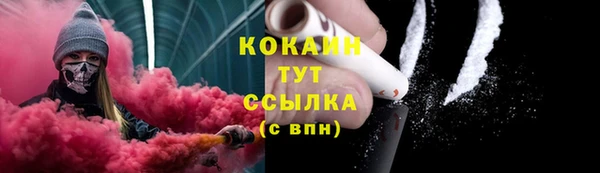 ПСИЛОЦИБИНОВЫЕ ГРИБЫ Абаза