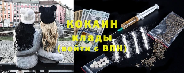 ПСИЛОЦИБИНОВЫЕ ГРИБЫ Абаза