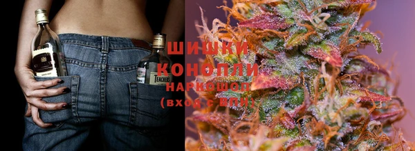 ПСИЛОЦИБИНОВЫЕ ГРИБЫ Абаза