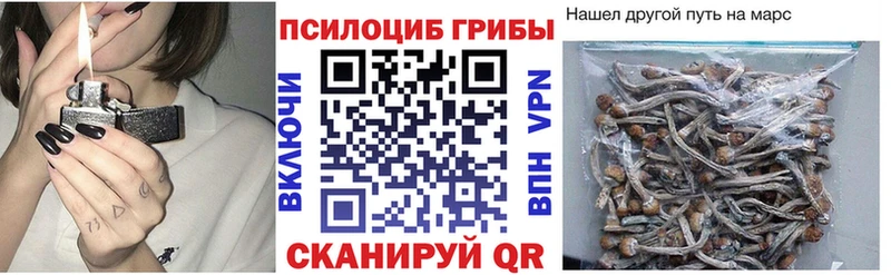 Галлюциногенные грибы Psilocybine cubensis цены наркотик Владимир