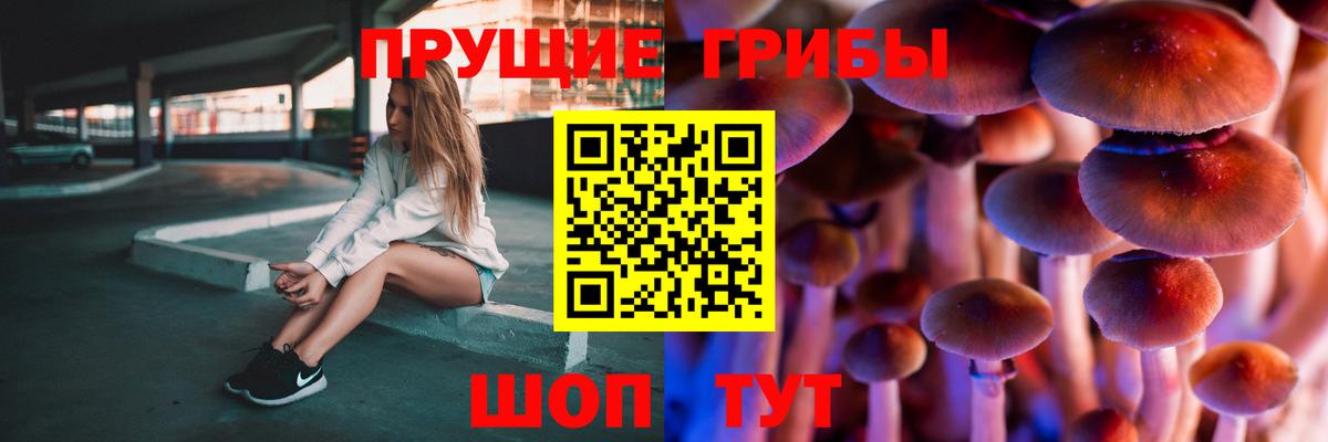 Псилоцибиновые грибы прущие грибы Владимир