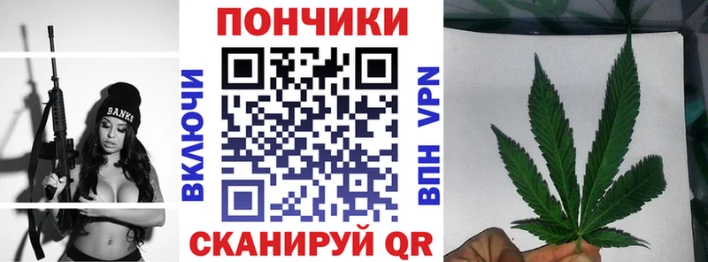 Каннабис SATIVA & INDICA  наркошоп  Владимир 